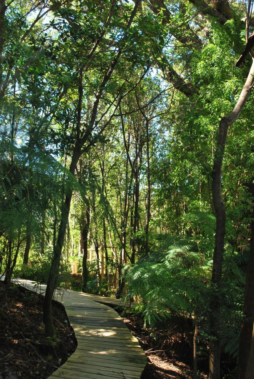 Chucao Bosque Y Cabanas Chaitén Exterior photo