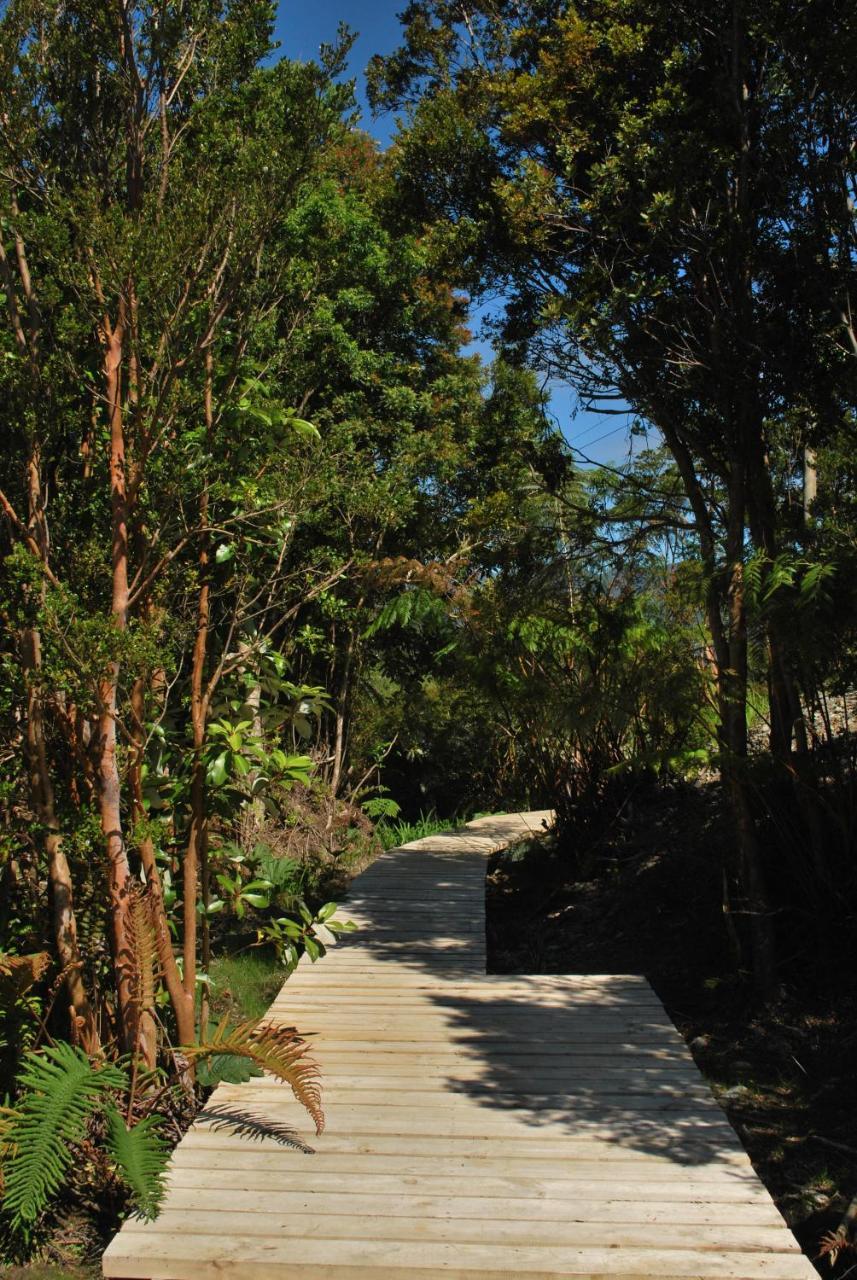 Chucao Bosque Y Cabanas Chaitén Exterior photo