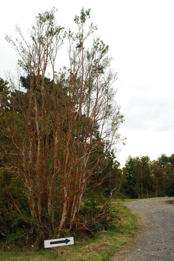 Chucao Bosque Y Cabanas Chaitén Exterior photo