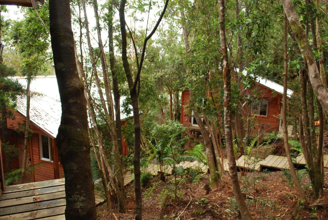 Chucao Bosque Y Cabanas Chaitén Exterior photo